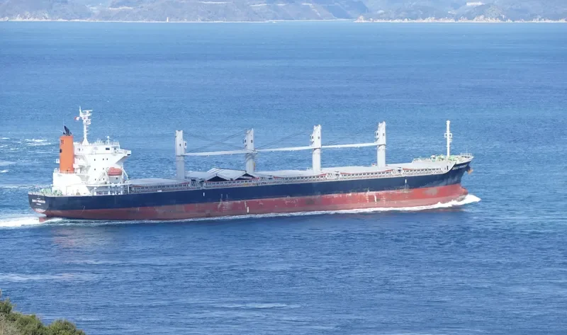 BASIC PRINCESS Bulk Carrier IMO 9635743