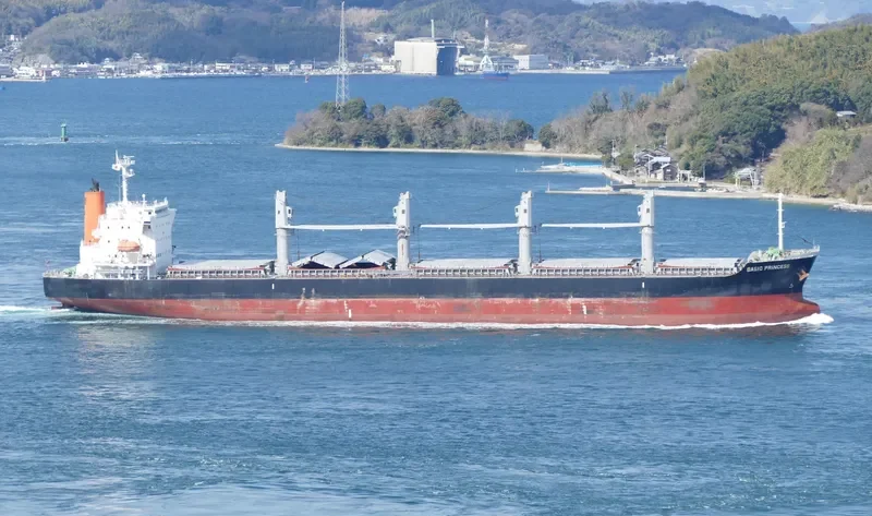 BASIC PRINCESS Bulk Carrier IMO 9635743 photo 2