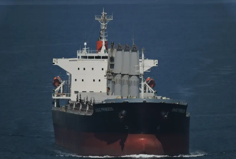 BASIC PRINCESS Bulk Carrier IMO 9635743 photo 3