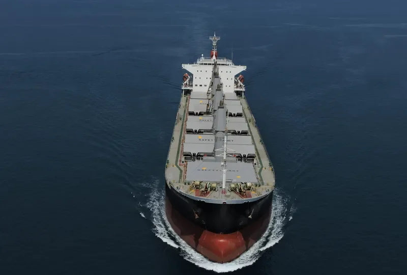 BASIC PRINCESS Bulk Carrier IMO 9635743 photo 4