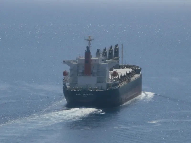 BASIC PRINCESS Bulk Carrier IMO 9635743 photo 5