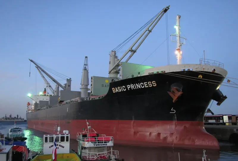 BASIC PRINCESS Bulk Carrier IMO 9635743 photo 6