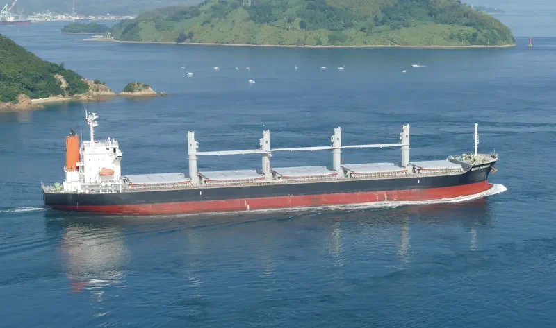 BASIC PRINCESS Bulk Carrier IMO 9635743 photo 7