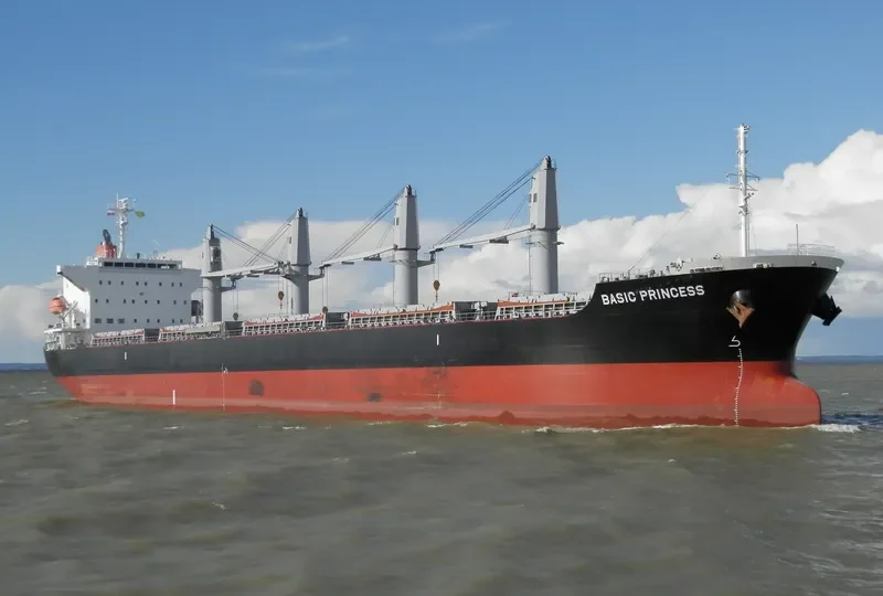 BASIC PRINCESS Bulk Carrier IMO 9635743 photo 8
