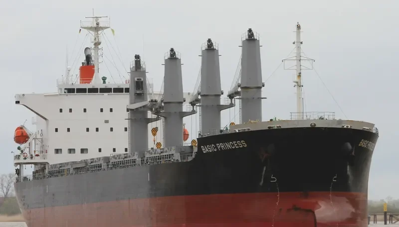BASIC PRINCESS Bulk Carrier IMO 9635743 photo 9