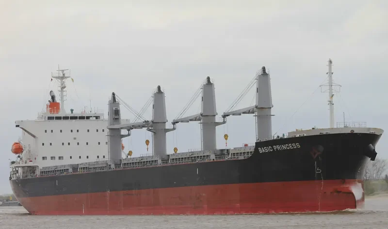 BASIC PRINCESS Bulk Carrier IMO 9635743 photo 10