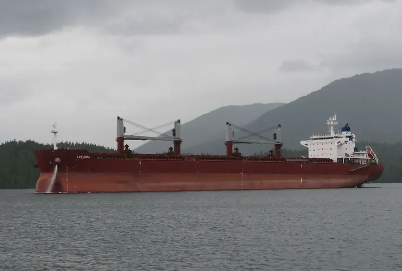 ARCADIA Bulk Carrier IMO 9635999