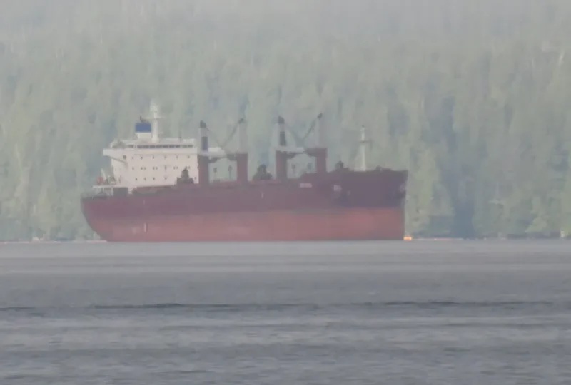 ARCADIA Bulk Carrier IMO 9635999 photo 2