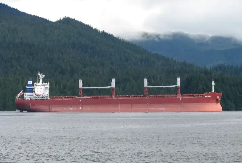 ARCADIA Bulk Carrier IMO 9635999 photo 3