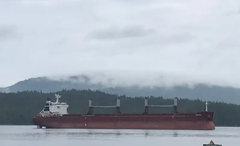 ARCADIA Bulk Carrier IMO 9635999 photo 4