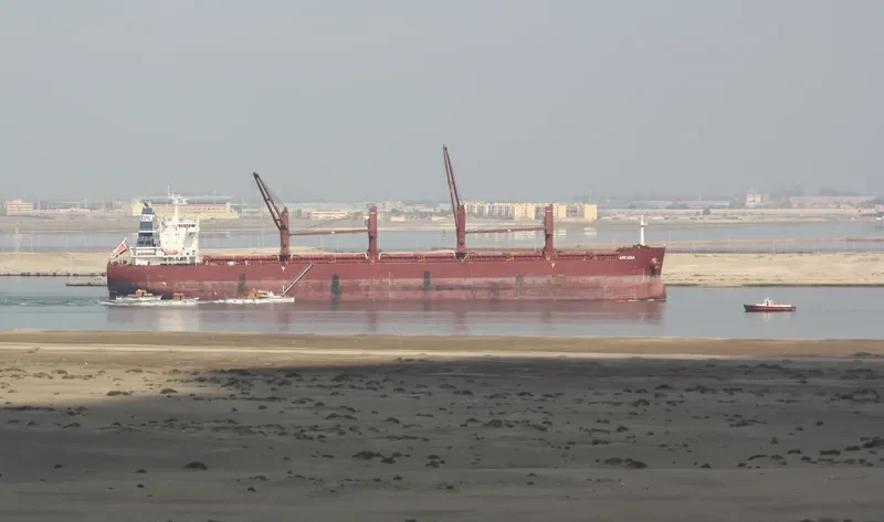 ARCADIA Bulk Carrier IMO 9635999 photo 5