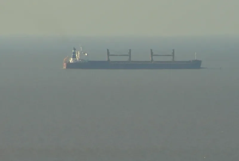 ARCADIA Bulk Carrier IMO 9635999 photo 6
