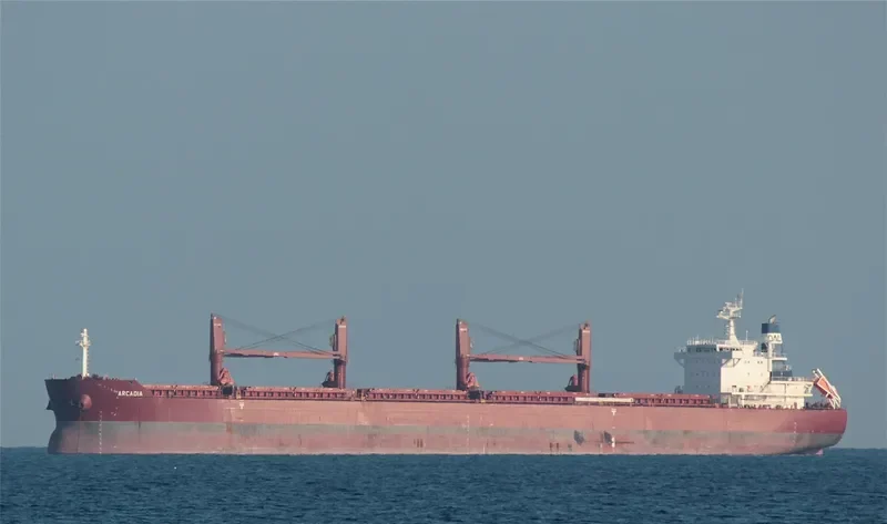 ARCADIA Bulk Carrier IMO 9635999 photo 7