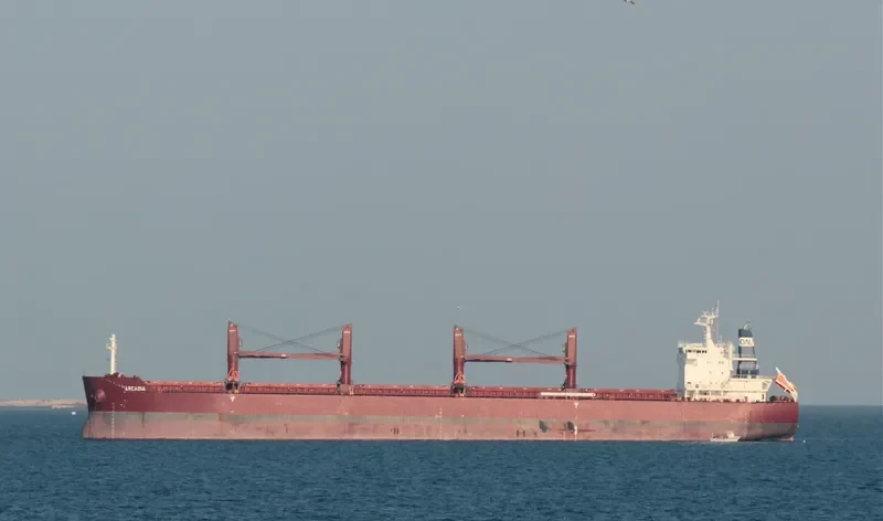 ARCADIA Bulk Carrier IMO 9635999 photo 8