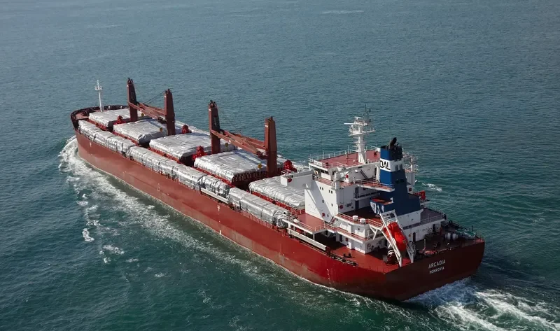 ARCADIA Bulk Carrier IMO 9635999 photo 9