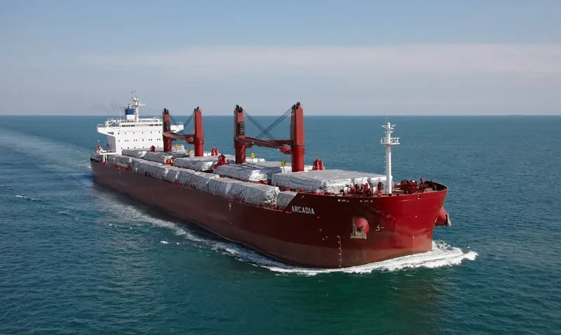 ARCADIA Bulk Carrier IMO 9635999 photo 10