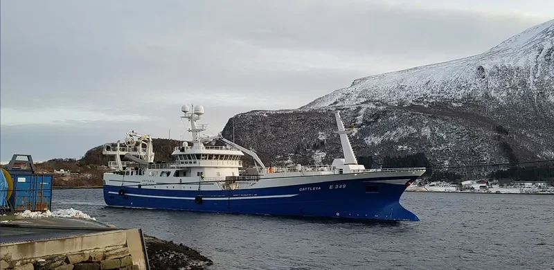 CATTLEYA General Cargo IMO 9636046