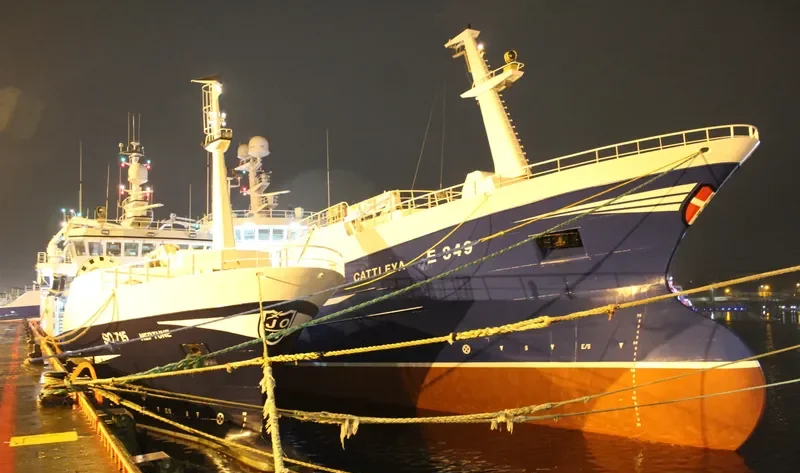 CATTLEYA General Cargo IMO 9636046 photo 2