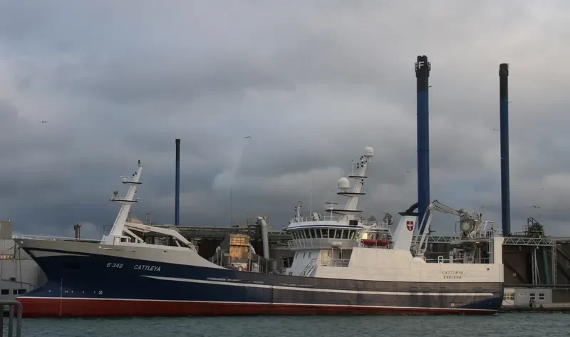 CATTLEYA General Cargo IMO 9636046 photo 3