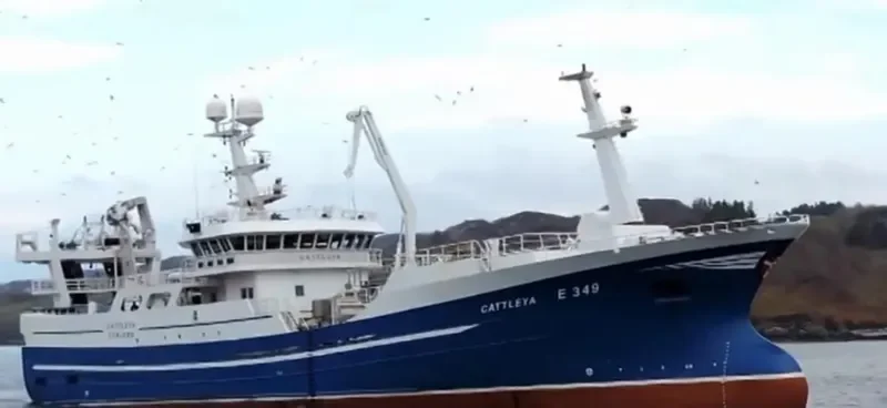CATTLEYA General Cargo IMO 9636046 photo 4