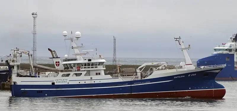 CATTLEYA General Cargo IMO 9636046 photo 5