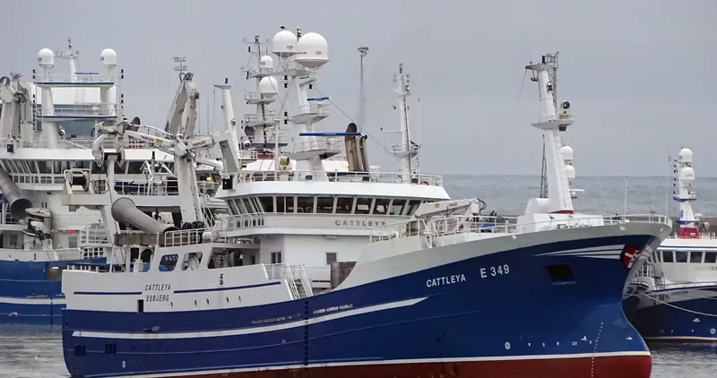 CATTLEYA General Cargo IMO 9636046 photo 8