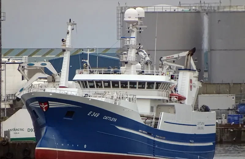 CATTLEYA General Cargo IMO 9636046 photo 9