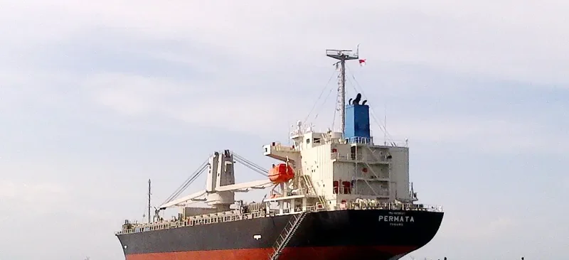 PERMATA General Cargo IMO 9636137 photo 5