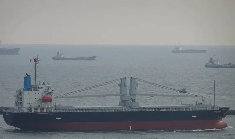 PERMATA General Cargo IMO 9636137 photo 6