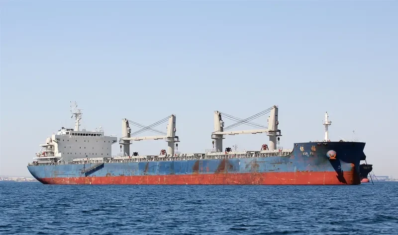 YIN FU Bulk Carrier IMO 9636163