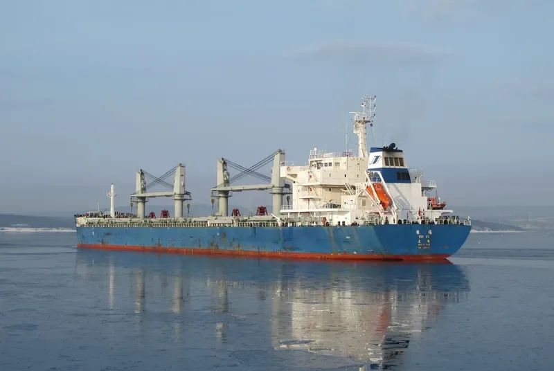 YIN FU Bulk Carrier IMO 9636163 photo 2