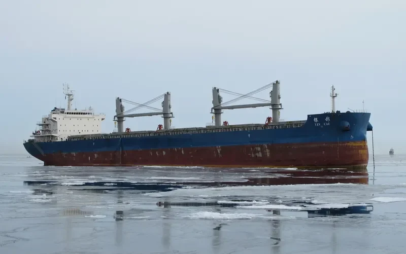 YIN CAI Bulk Carrier IMO 9636199 photo 2