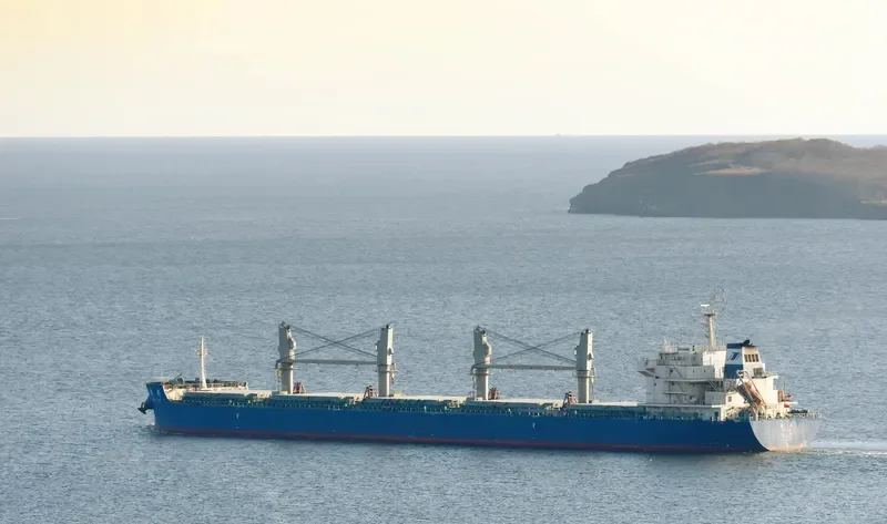 YIN CAI Bulk Carrier IMO 9636199 photo 5