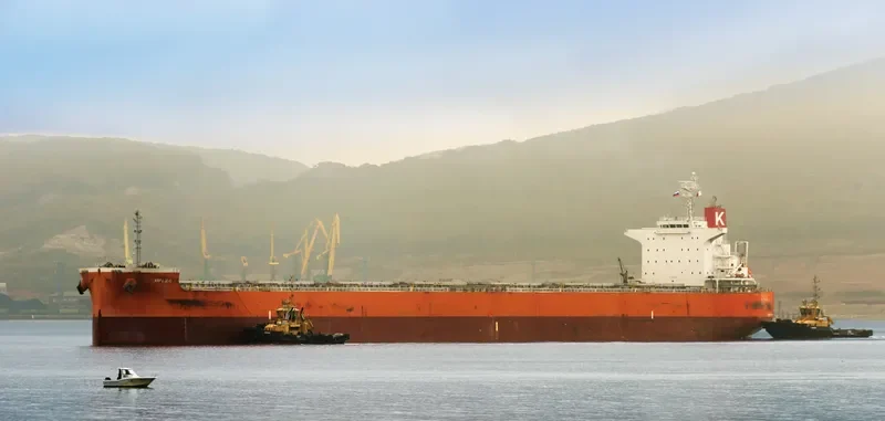 ARPEGGIO Bulk Carrier IMO 9636278 photo 2