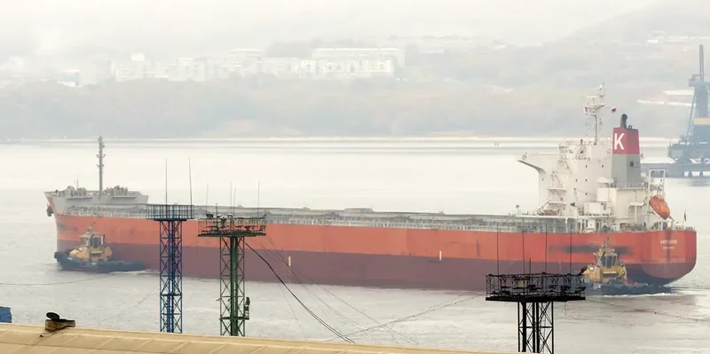 ARPEGGIO Bulk Carrier IMO 9636278 photo 3