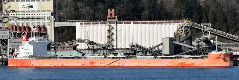 ARPEGGIO Bulk Carrier IMO 9636278 photo 6