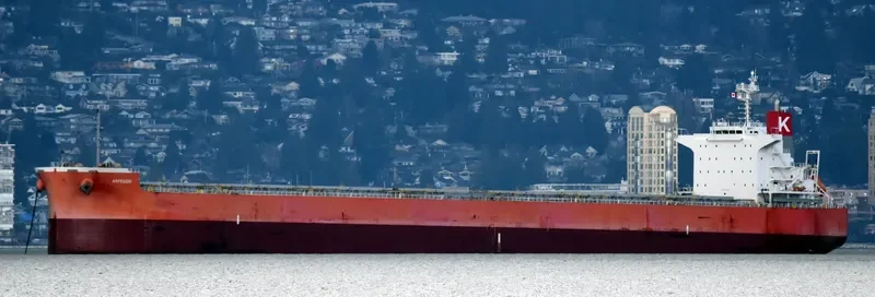 ARPEGGIO Bulk Carrier IMO 9636278 photo 7