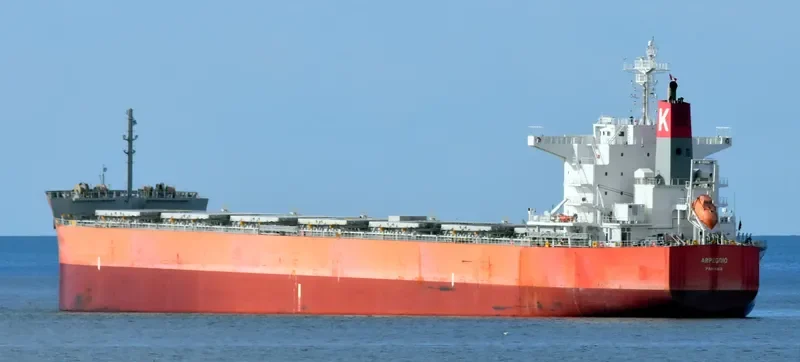 ARPEGGIO Bulk Carrier IMO 9636278 photo 8