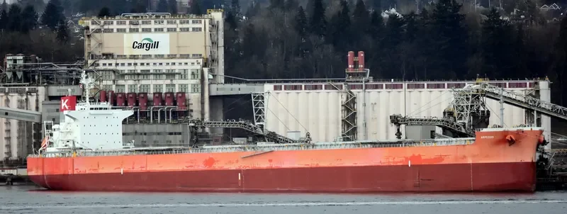 ARPEGGIO Bulk Carrier IMO 9636278 photo 9