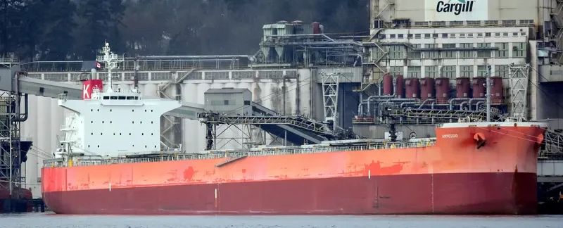 ARPEGGIO Bulk Carrier IMO 9636278 photo 10