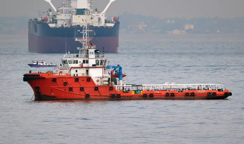 LION KING General Cargo IMO 9636319