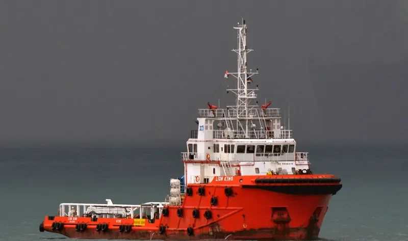 LION KING General Cargo IMO 9636319 photo 2