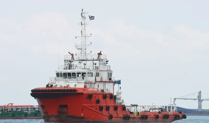 LION KING General Cargo IMO 9636319 photo 3