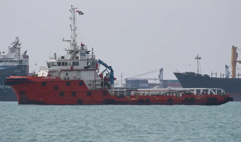 LION KING General Cargo IMO 9636319 photo 4
