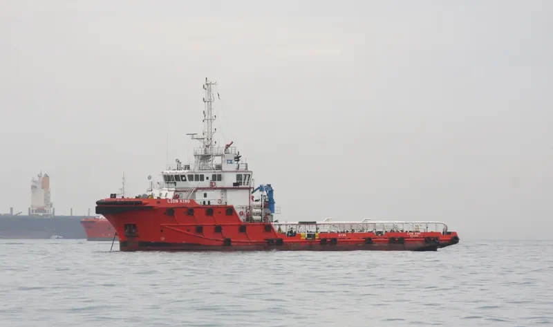 LION KING General Cargo IMO 9636319 photo 6