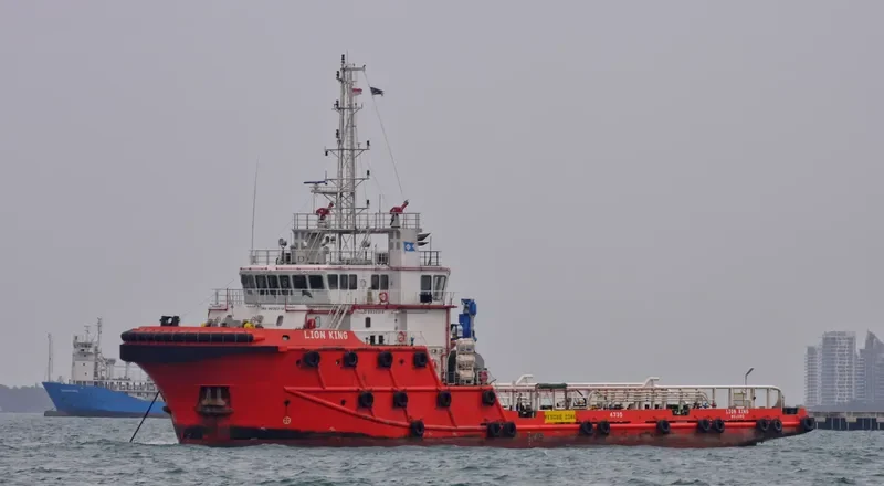 LION KING General Cargo IMO 9636319 photo 7