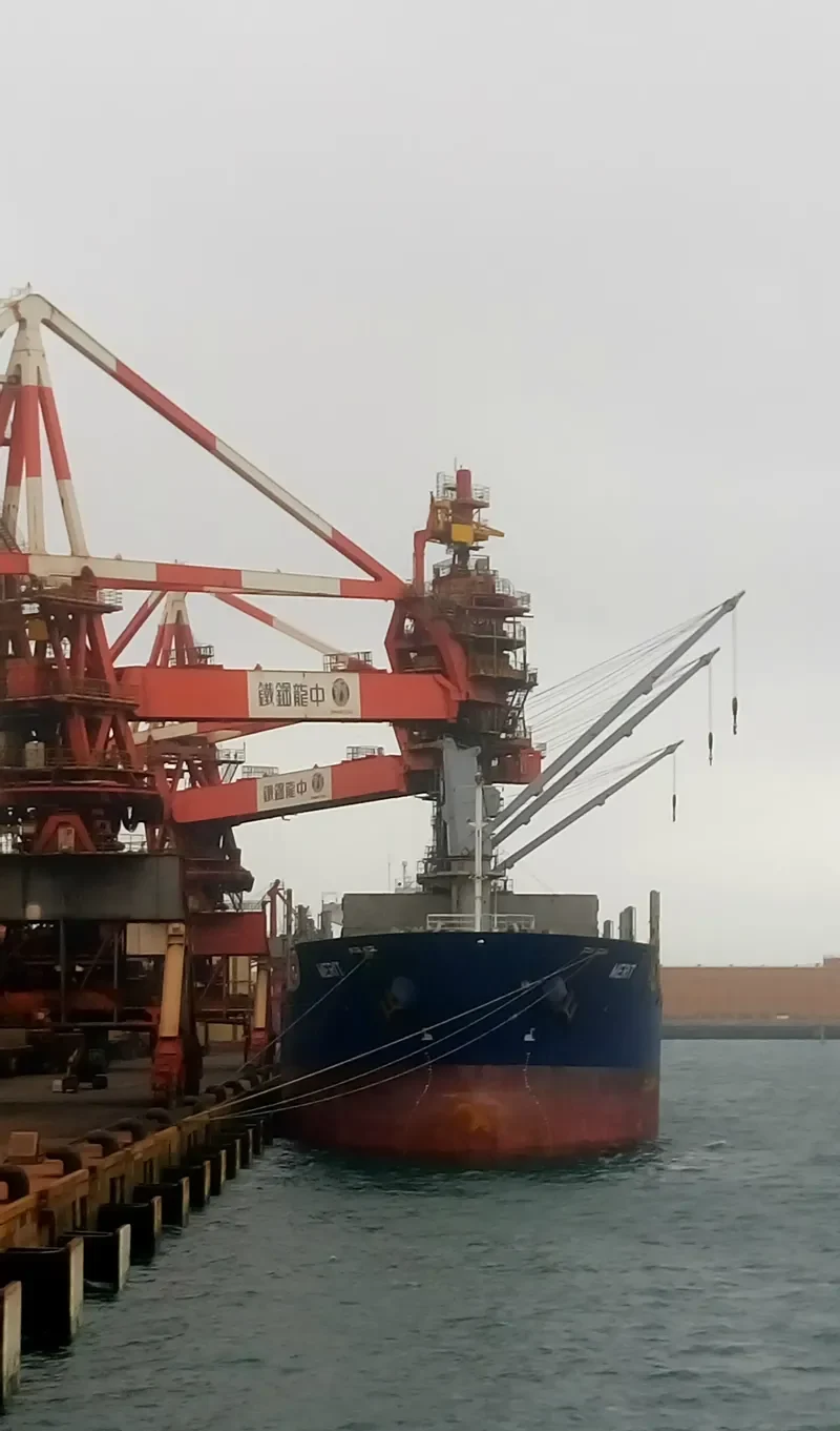 MERIT Bulk Carrier IMO 9636345 photo 3