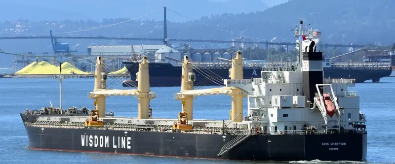 AMIS CHAMPION Bulk Carrier IMO 9636369 photo 2