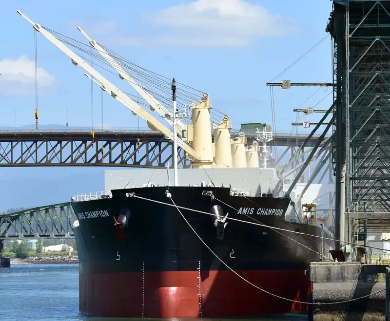 AMIS CHAMPION Bulk Carrier IMO 9636369 photo 5