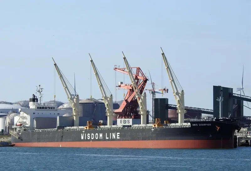 AMIS CHAMPION Bulk Carrier IMO 9636369 photo 6